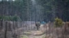 Речник ДПСУ зазначив, що українська сторона була готова до різного роду сценаріїв, зокрема до можливих провокацій у напрямку кордону або інформаційного впливу
