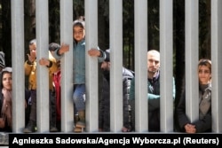 Мігранти стоять біля стіни на кордоні між Білоруссю і Польщею. Їх спецлітаками спочатку доставили у Білорусь, а потім привезли автобусами під кордон з Польщею. 28 травня 2023 року