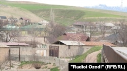 Čamanzor, Rajabalizodino rodno selo