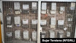 Njehsorë të vjetër të rrymës në veri të Kosovës, ku energjia elektrike e shpenzuar nuk paguhet tash e 25 vjet.
