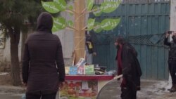 Talibanët arrestojnë profesorin afgan që shpërndante libra falas