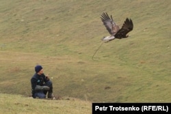 Egy versenyző sas, akit szabadon engedtek, hogy bemutassa, milyen ügyesen engedelmeskedik a parancsoknak