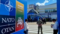 Aleatët e NATO-s s’i ofrojnë Ukrainës afat kohor për anëtarësimin
