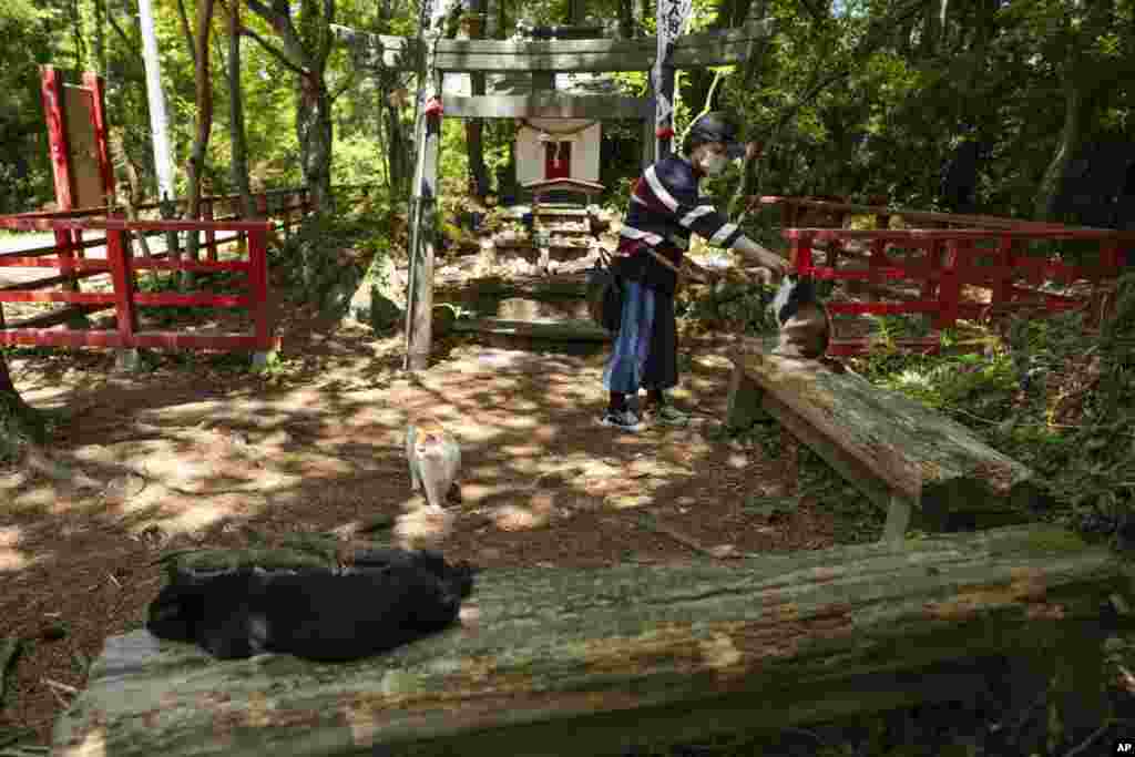 Një turiste përkëdhel një mace pranë faltores në ishullin Tashirojima në Japoni, 18 maj 2024.