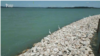 Balatonföldvár