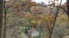 Ogoljeno šumsko zemljište za potrebe kamenoloma u Srebreniku, februar 2024. godine.