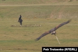 Egy madarat hívnak, hogy térjen vissza az emberéhez