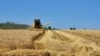 Нови злоупотреби на земјоделските субвенции, се бара ревизија на системот 