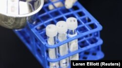 Teste PCR