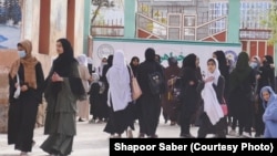 بیشتر از یک سال میشود که طالبان دروازه های مکاتب را به روی دختران دانش آموز صنوف ششم به بالا٬ بسته اند