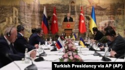 Cele două părți spun că sunt dispuse la compromisuri: Rusia a promis că va reduce din intensitatea luptelor din apropierea Kievului și Cernigăului, în timp ce Ucraina că nu va intra în nicio alianță militară. Recep Tayyip Erdogan înaintea începerii discuțiilor de la Istanbul.