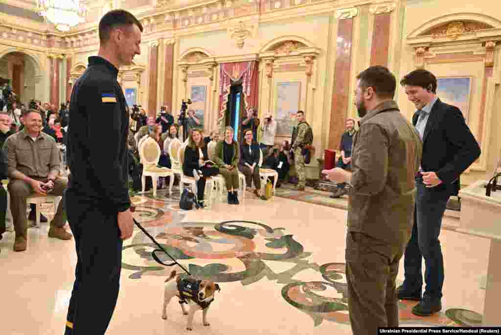 Justin Trudeau kanadai kormányfő és Volodimir Zelenszkij ukrán elnök az ukrán hadsereg egyik szolgálati kutyájával, Patronnal találkozik Kijevben. A Jack Russell terriert, akinek a neve ukránul golyót jelent, kitüntették taposóaknák keresésében nyújtott teljesítményéért. Az állat az ukrán ellenállás egyik szimbólumává vált, gyakran tűnik fel közösségimédia-videókban és fontos eseményeken