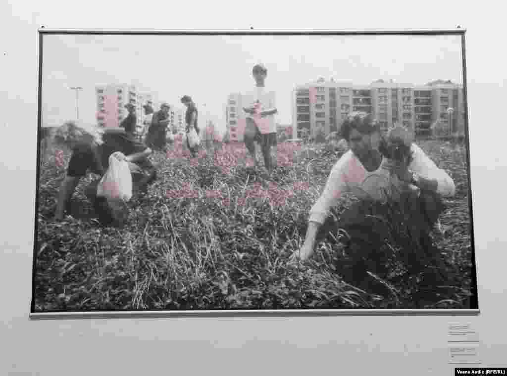 Fotografije prikazuju kako su građani pokušavali da prežive agresiju koja ih je zadesila.