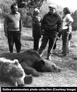 Чаушеску осматривает убитых медведей в Бистрице, на севере Румынии, 1972 год.