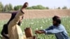 افغانستان - دهقانان 