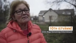 Kivágok egy szál fát, két szál fát, és akkor hazaviszem