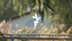 „Ha ezt lehet, akkor elveszett a teljes természetvédelem” – Környezetvédők a bizonytalan sorsú Fertő tavi beruházásról