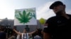 Egy tüntető egy transzparenst tart a kezében, amelyen ez áll: „A mi növényünk – a mi gyógyszerünk”. A kép a kannabisz legalizálásáért szervezett belgrádi tüntetésen készült 2015. szeptember 4-én