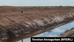 Zeýkeşiň boýunda duran çaga