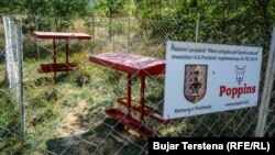Pikë ushqyese për qentë endacakë në Prishtinë.