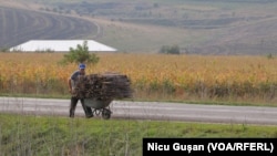 Pentru cei care se încălzesc cu lemne, guvernul va pregăti un „plan de acțiuni privind asigurarea populației cu lemne de foc la un preț accesibil”