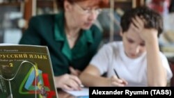 Рязань, занятия с репетитором по русскому языку
self-employed