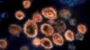 Particule ale virusului SARS-CoV-2 care provoacă Covid sunt văzute cu un microscop electronic (Arhivă)