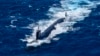 Un submarin nuclear american efectuează exerciții militare în largul coastei Columbiei în 2022. 