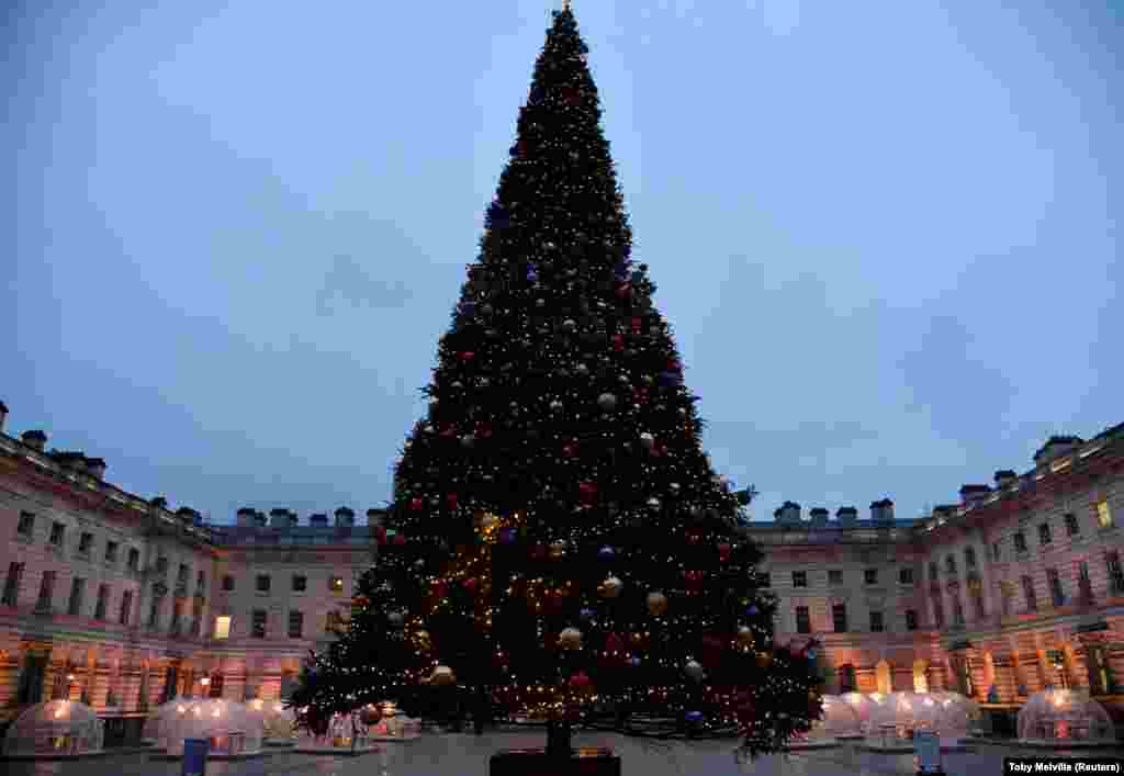 Winter Domes-okat, azaz téli kupolákat állítottak fel Nagy-Britannában egy óriási karácsonyfa mellett a Somerset-ház udvarán. A kupolák mini szabadtéri éttermekként üzemelnek december eleje óta.