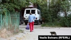 un alegător