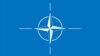 Emblema NATO.
