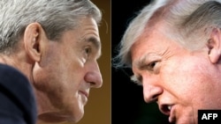 Robert Miler i Donald Tramp