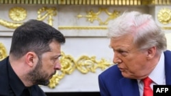 Владимир Зеленский ва Доналд Трамп. Акс аз бойгонӣ.