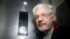 Julian Assange, themelues i WikiLeaks