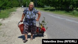 La Rîșcani