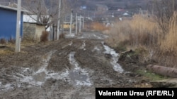 La Cărpineni
