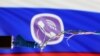 Илюстративна снимка с логото на Viber на фона на руски флаг