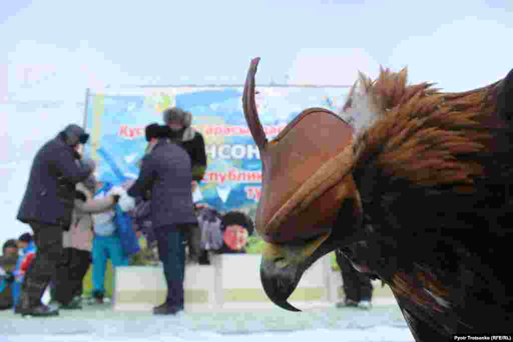 Despite the high cost of owning an eagle, the competition doesn't bring a great financial reward. The first-place winner receive 200,000 tenge, or about $625. Second and third place bring in 50,000 tenge, or $156.