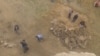 Ослиный могильник у водоема в Самарканде. 