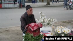Nikolaev 2016