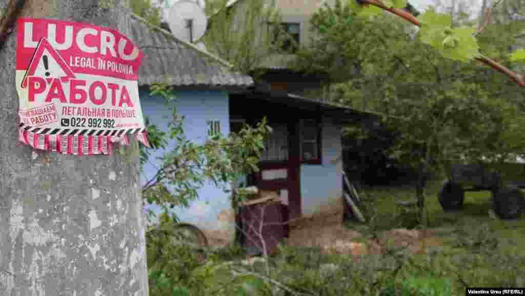 MD - People and houses in Telenesti city, 5 may 2019