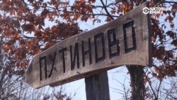 "Мы гоним три вида "путиновки"