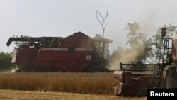 După retragerea Federației Ruse din acordul privind exportul de cereale pe Marea Neagră, prețul la cereale a crescut la bursele internaționale, din cauza reducerii fluxului de grâne ucrainene, care era direcționat în bazinul Mării Negre.