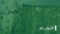 کاروان زهر - تکرار