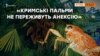 Російські шкідники з’їдають кримські пальми | Крим.Реалії