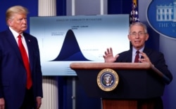 Anthony Fauci gjatë një konference të përbashkët për media me presidentin amerikan, Donald Trump. Foto nga arkivi.