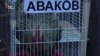 «Свободівці» під Радою вимагають відставки уряду (відео)