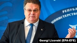 Lithuanian Foreign Minister Linas Linkevicius 