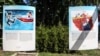 На день початку дії &nbsp;&laquo;безвізу&raquo; близько 3,5 мільйони громадян України матимуть біометричний паспорт. Саме він надає право безвізового в&#39;їзду до 26 країн Євросоюзу
