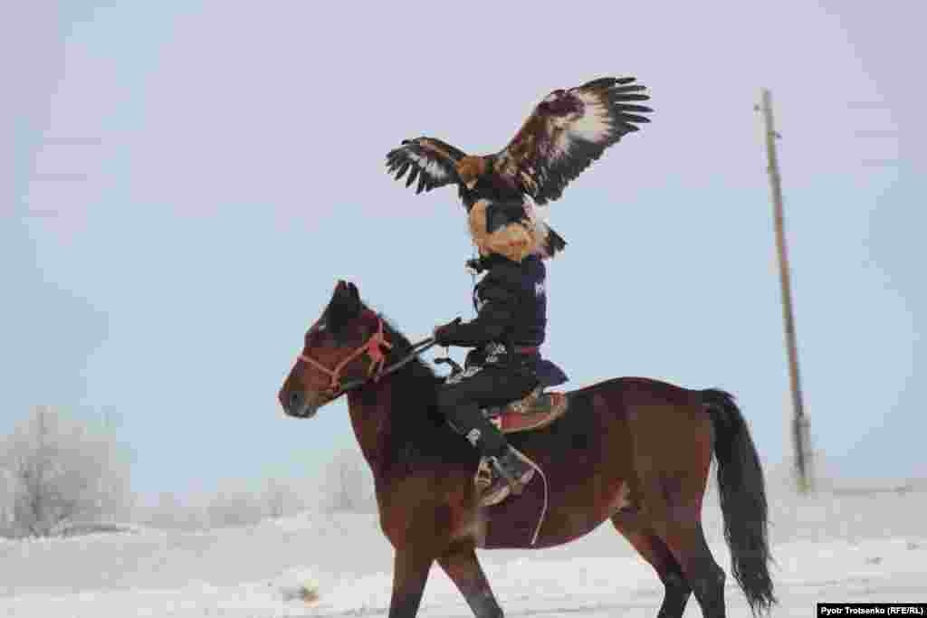The hunters must demonstrate their skill in training their birds to obey commands. 